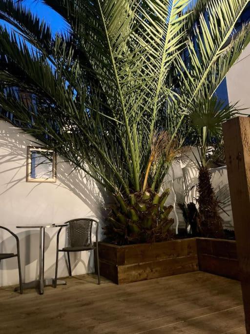 Appartamento Brighton Palms Esterno foto