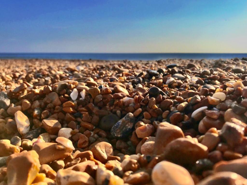 Appartamento Brighton Palms Esterno foto